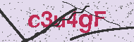 Code captcha