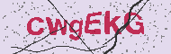 Code captcha
