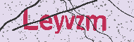Code captcha