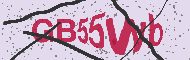 Code captcha