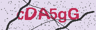 Code captcha