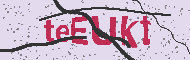 Code captcha