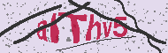 Code captcha