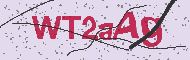 Code captcha
