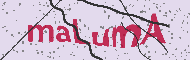 Code captcha