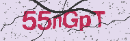 Code captcha