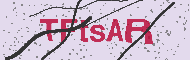 Code captcha