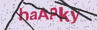 Code captcha
