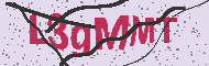 Code captcha