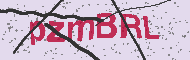 Code captcha