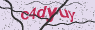 Code captcha