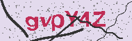 Code captcha